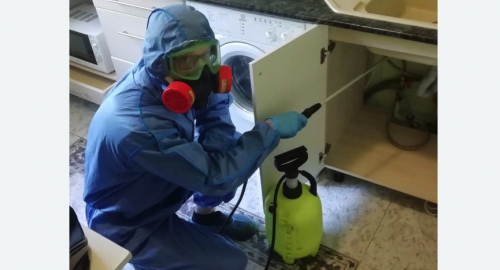 Уничтожение муравьев в квартире. Советский