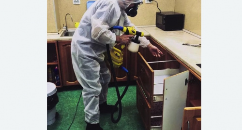 Дезинсекция квартиры. Советский