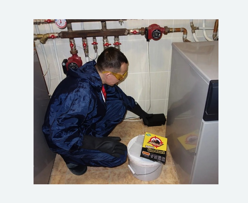 Уничтожение крыс Уничтожение крыс в Советском